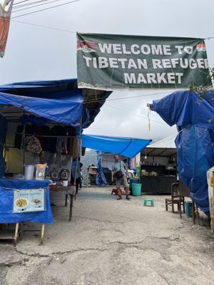   at Ama Laphing in Dharamshala
