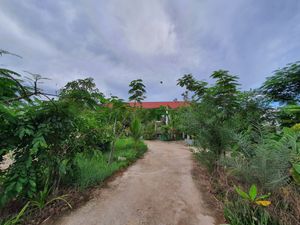 Vegetarian Cafe at Veggie Café - Galaxy Star Angkor Hotel in Siem Reap
