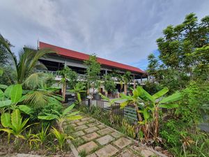 Vegetarian Cafe at Veggie Café - Galaxy Star Angkor Hotel in Siem Reap