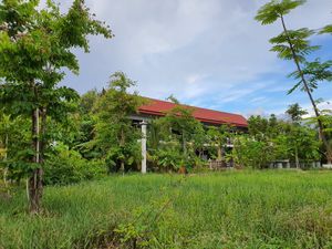 Vegetarian Cafe at Veggie Café - Galaxy Star Angkor Hotel in Siem Reap