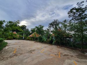 Cottage Hut 🛖 at Veggie Café - Galaxy Star Angkor Hotel in Siem Reap