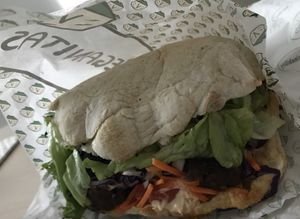 It’s huge!  at Veganitas in Bern