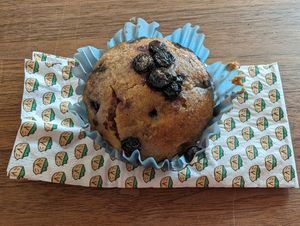  at Veganitas in Bern