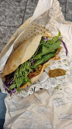 Outlawz Seitan Pita at Veganitas in Bern