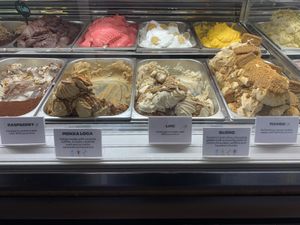 Vegan sorbets    at Pinguino  in Leuven