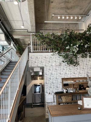 Local  at Maman in Washington