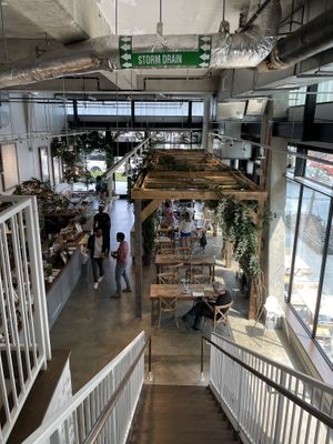 Local  at Maman in Washington