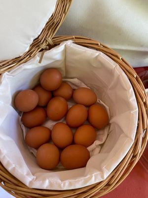  at Alleehotel Eschen Garni in Aurich