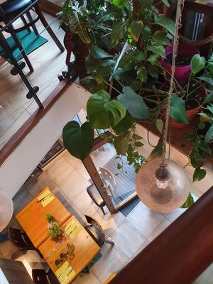 Restaurant at Le Grenier de Notre Dame in Paris