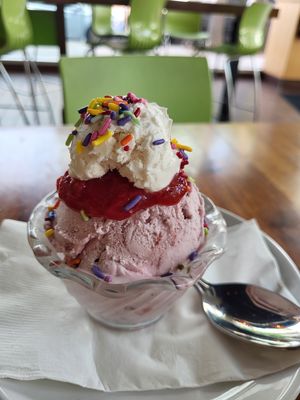 Sundae at Veggie Grill by Next Level - The Dome in Hollywood