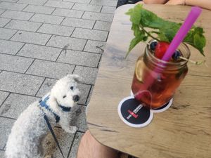  at Vegana Vietnamese Restaurant in Mannheim