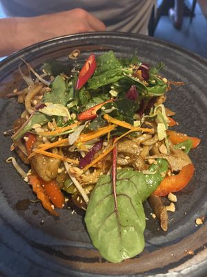 Udon noodles (udon xao mit Seitan)   at Vegana Vietnamese Restaurant in Mannheim