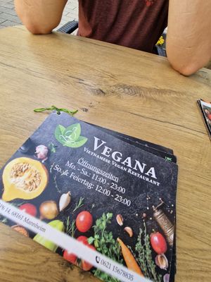 at Vegana Vietnamese Restaurant in Mannheim