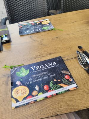 at Vegana Vietnamese Restaurant in Mannheim