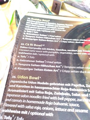 Udon Bowl at Vegana Vietnamese Restaurant in Mannheim