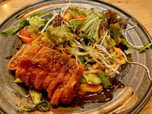 Udon noodles with vegan duck at Vegana Vietnamese Restaurant in Mannheim