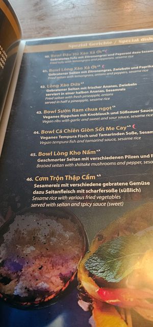  at Vegana Vietnamese Restaurant in Mannheim