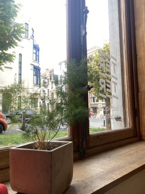 Cozy place  at Terter in Brussels