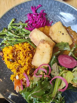 Tofu frit at Terter in Brussels