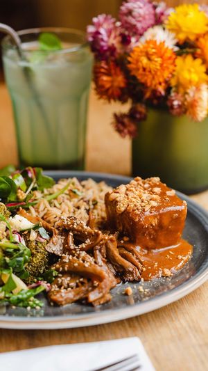 Tofu + peanut butter sauce at Terter in Brussels