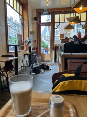 cutie   at Terter in Brussels