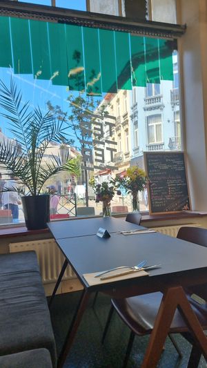  at Terter in Brussels