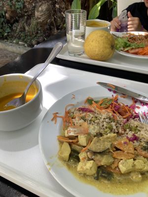   at Green Side in Coimbra