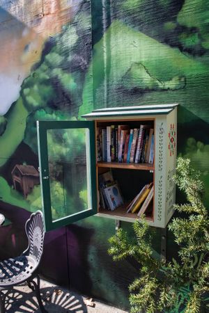 A very well loved and used book box. at Madison Natural Foods in Marshall