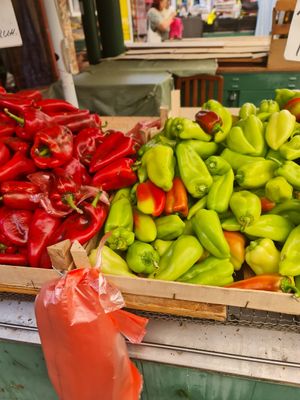 Pepper at Pijaca Mirijevo in Belgrade