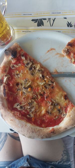 pizza funghi with vegan cheese at Pizzeria Vesuvio da Antonio - Pizza Verace in Minusio