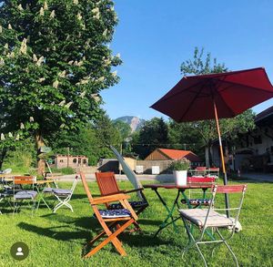  at Hofcafe KlosterGut Schlehdorf  in Schlehdorf