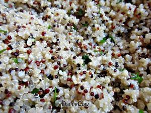 Quinoa salad at Yami in Lima