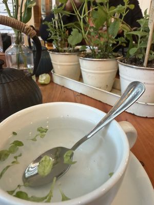   at Quinoa in Las Condes