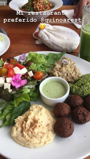 Falafel 🥙  at Quinoa in Las Condes