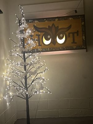   at the HOOT in Columbia