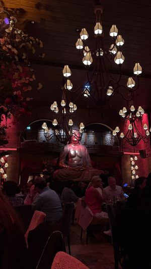 vibe  at Buddha-Bar in Paris