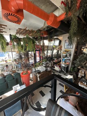 Local  at Babaluu in Budva