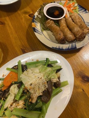 Garlic veg and fried spring rolls  at Viet Nam Ao BaBa in Hiroshima