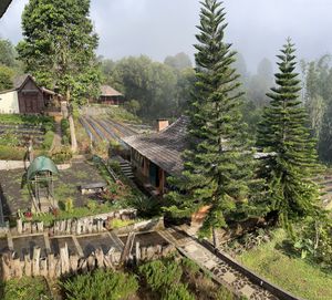 nice farm view  at Munduk Farm House in Munduk