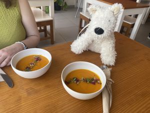   at Sol Cozinha Vegetariana in Portimao