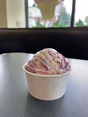 FoMu Blueberry Shortbread (rotating flavor)
 at Colleen's Ice Cream & Sandwich Shop in Medford