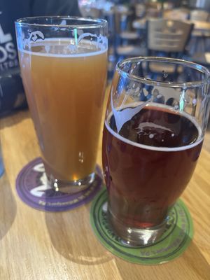 IPA’s  at Bullfrog Brewery in Williamsport