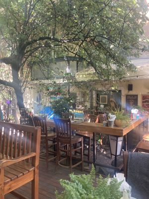   at The Wrong Bar in Sofia