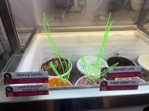 Outlet cherriy, and Carrot mango ice vegan options today  at Cherry On Top Ice Cream Shoppe in Algonquin