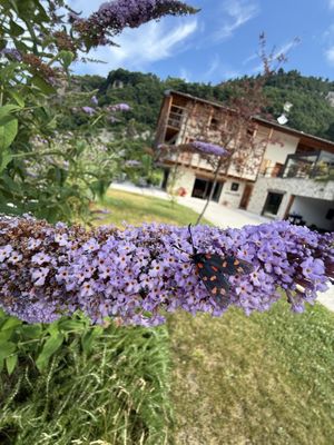   at Arpa di pietra - Luxury B&B SPA BIO in Valle San Felice