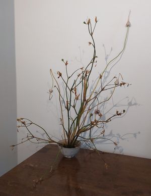 Interior at Yu Dei 余地 in Kowloon