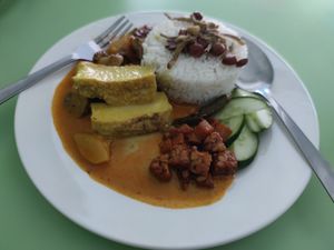 Nasi lemak at VG Lemongrass Vegetarian House in Kuala Lumpur