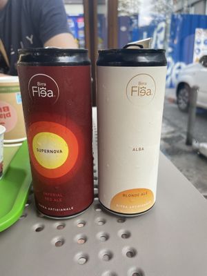 Italian artisan beers… we had a few!   at Plant Bun in Turin