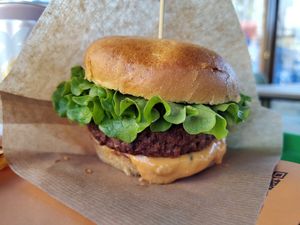  at Plant Bun in Turin