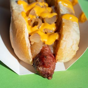  at Plant Bun in Turin